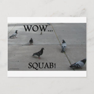 CARTÃO POSTAL PIGEON HUMOR