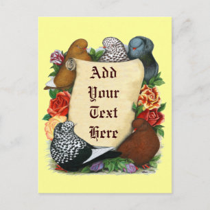 Cartão Postal Pigeon Scroll