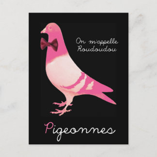 Cartão Postal Pigeonnes - No meu appelle Roudoudou
