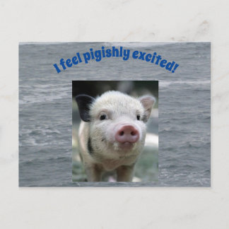 Cartão Postal Pigish Postcard