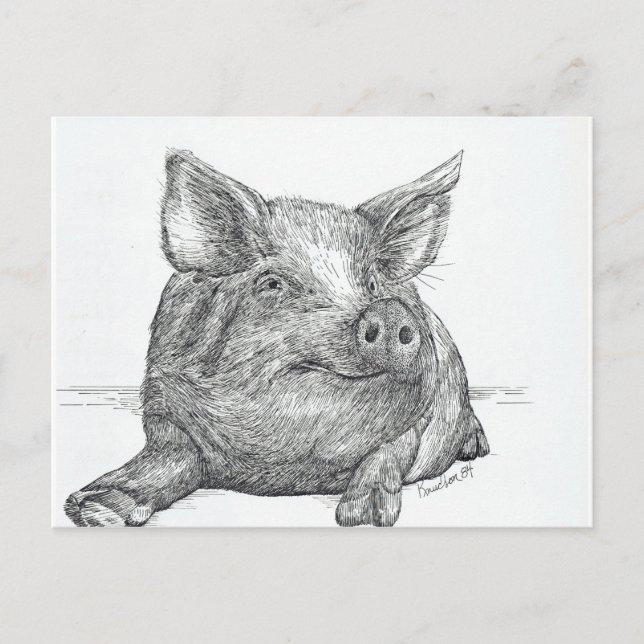 Cartão Postal Piglet (Frente)