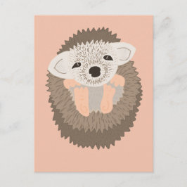 Cartão Postal Pigmeus Hedgehog é tão bonito!