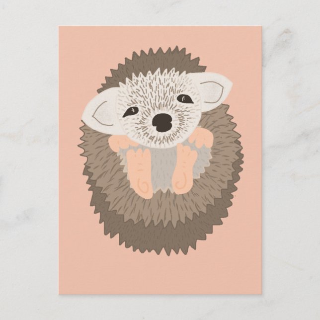 Cartão Postal Pigmeus Hedgehog é tão bonito! (Frente)