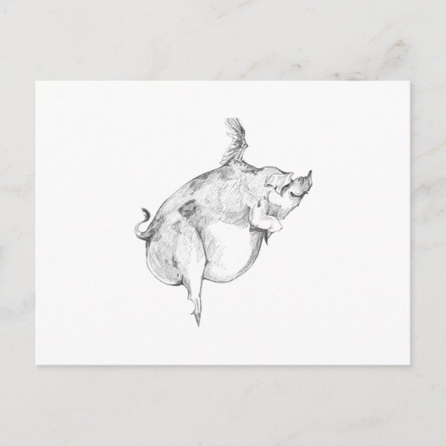 Cartão Postal Pigs Can Fly Postcard (Frente)