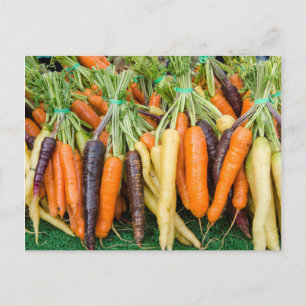 Cartão Postal Pikes Place Market, Seattle, Washington, EUA