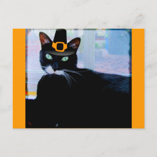 Cartão Postal Pilgrim Lucy