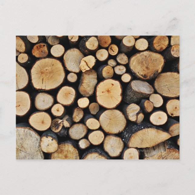 Cartão Postal Pilha de logs de árvore (Frente)