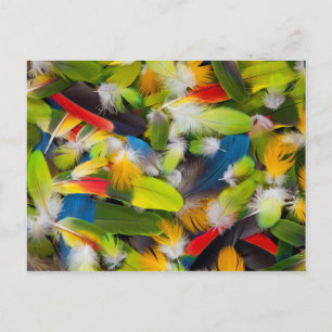 Cartão Postal Pilha de penas coloridas