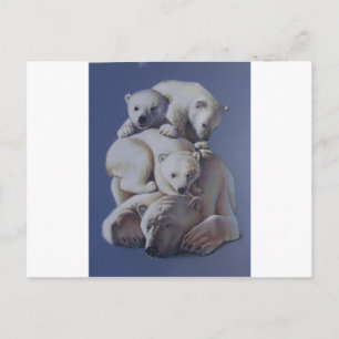 Cartão Postal Pilha de Urso Polar