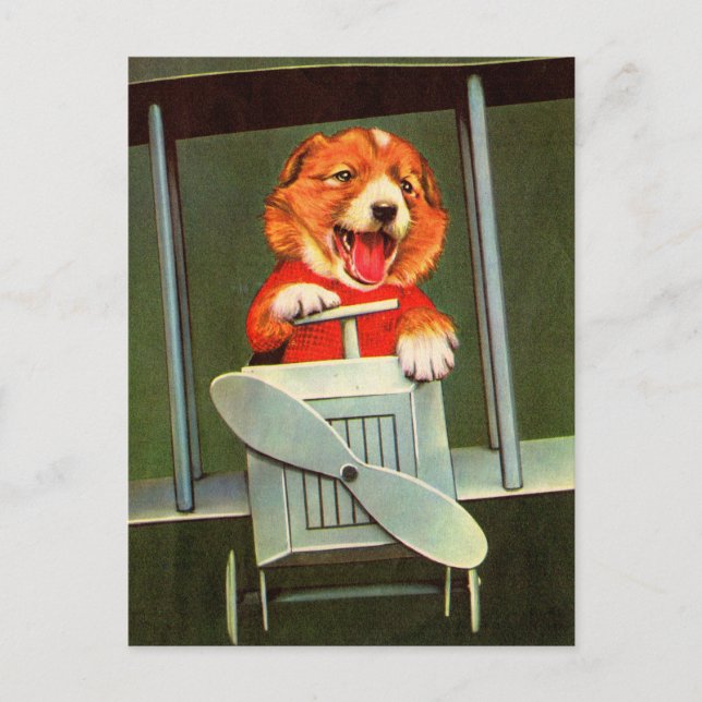 Cartão Postal piloto de cães (Frente)