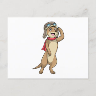Cartão Postal Piloto Meerkat com chapéu piloto