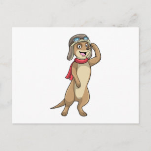 Cartão Postal Piloto Meerkat com chapéu piloto