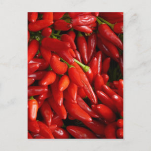 Cartão Postal Pimentos Chili