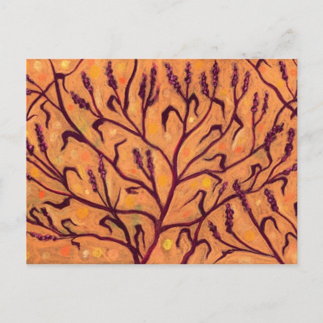 Cartão Postal Pimentos de Água Flores de Areia Flores (Frente)