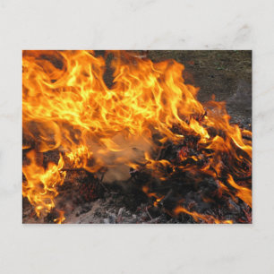 Cartão Postal Pincel de gravação