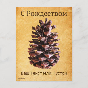 Cartão Postal Pine Cone Em Papel Vintage - С Р о ж д е с