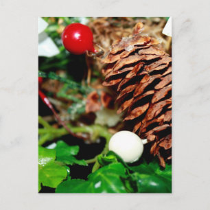 Cartão Postal Pine Cone with Ivy