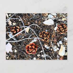 Cartão Postal Pine Cones