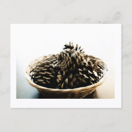 Cartão Postal Pine Cones in a Pile Postcard Print by JH Thornton