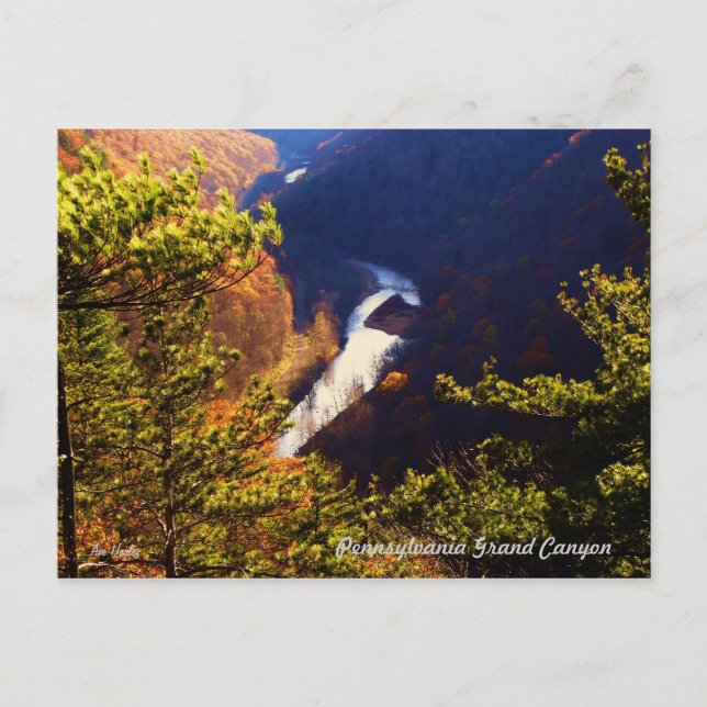 Cartão Postal Pine Creek Gorge Overlook no Pa Grand Canyon (Frente)