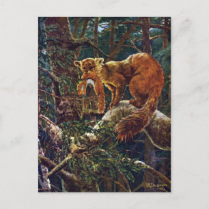 Cartão Postal Pine Marten com Prey