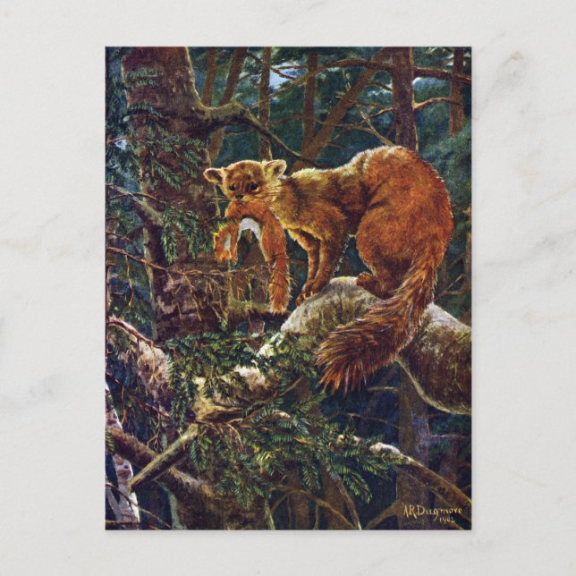 Cartão Postal Pine Marten com Prey (Frente)