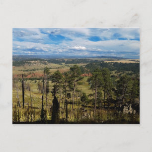 Cartão Postal Pine Ponderosa da Torre dos Demônios