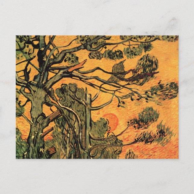 Cartão Postal Pine Trees Red Sky Setting Sun por Vincent van Gog (Frente)