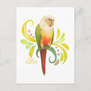 Cartão Postal Pineapple Green Cheek Conure