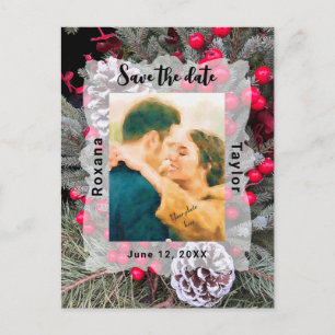 Cartão Postal Pinecone Evergreen Berries Foto de Salvamento de C