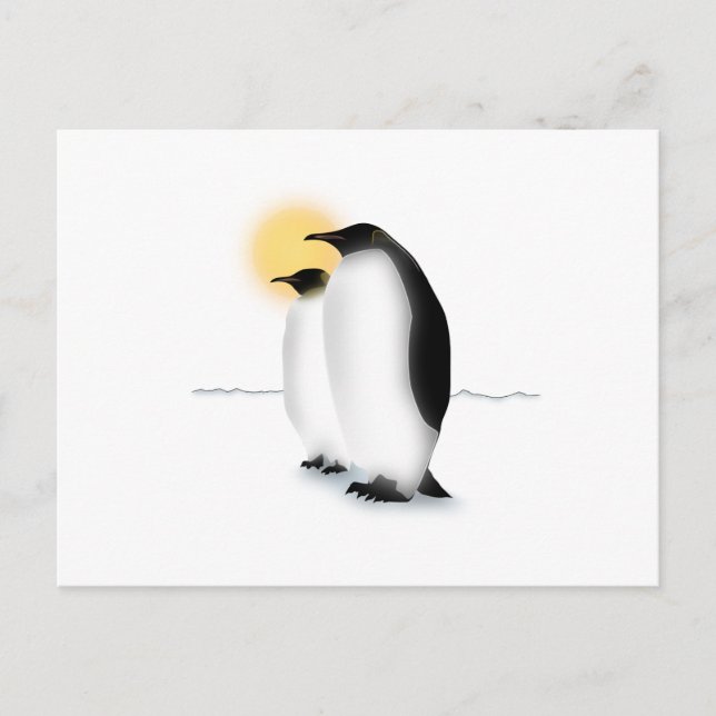 Cartão Postal Pinguim (Frente)