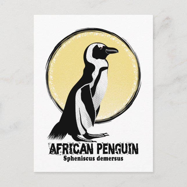 Cartão Postal Pinguim-africano (Frente)