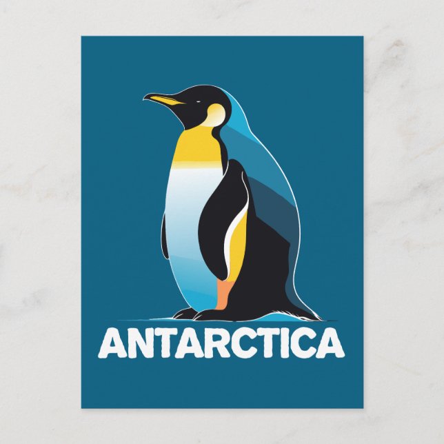 Cartão Postal Pinguim Antártico (Frente)