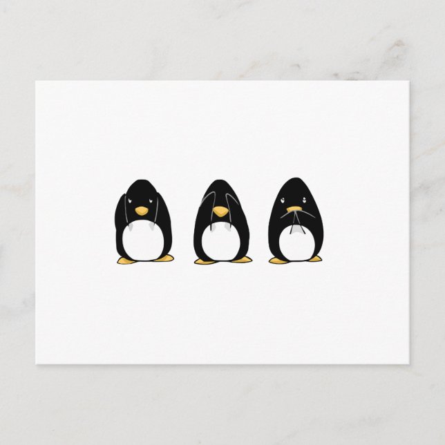 Cartão Postal Pinguim Bonito Ver Falar Ouvir Sem Mau (Frente)