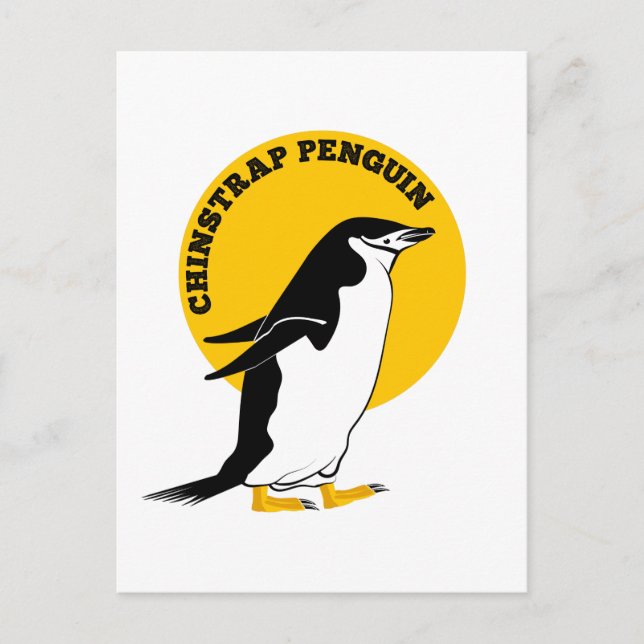 Cartão Postal Pinguim-chinês (Frente)