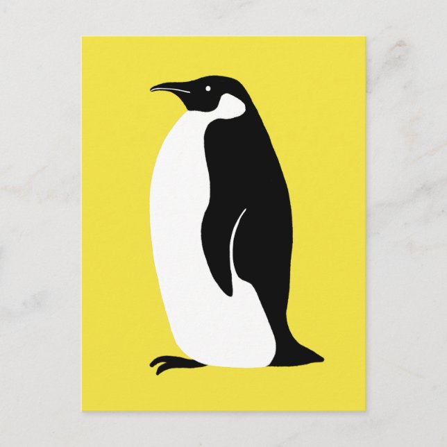 Cartão Postal Pinguim-Cinto Iluminando Amarelo-Branco (Frente)