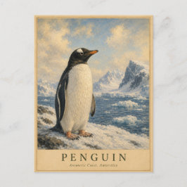 Cartão Postal Pinguim Costa Antártica VINTAGE