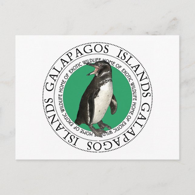 Cartão Postal Pinguim das Ilhas Galápagos (Frente)