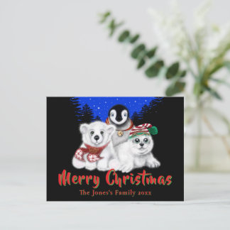 Cartão Postal Pinguim de Natal, filhote de foca polar