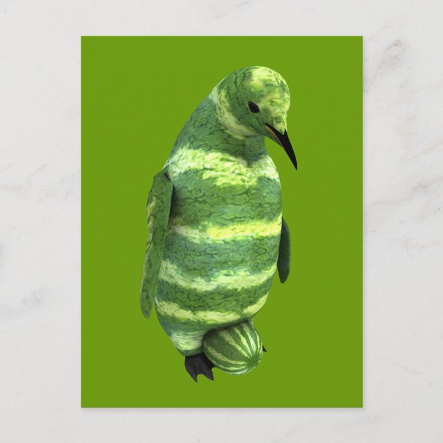 Cartão Postal Pinguim do Dia Nacional da Melancia (Frente)