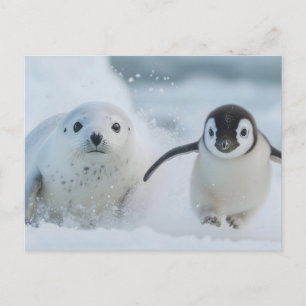 Cartão Postal Pinguim e Foca Amigos - Brincando na Neve