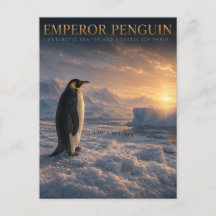 Pinguim-imperador Gelo Antártico ANIMAIS