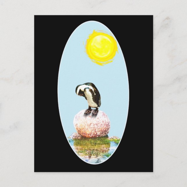Cartão Postal Pinguim Nápoles no Sol (Frente)