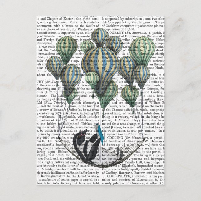 Cartão Postal Pinguim no balão de Hammock (Frente)