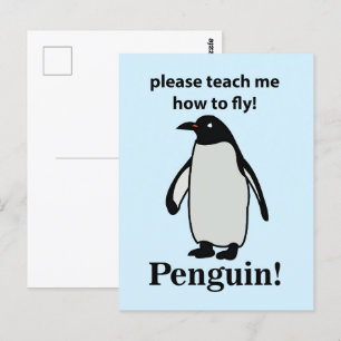 Cartão Postal Pinguim Por Favor Me Ensine a Voar Pinguim Engraça