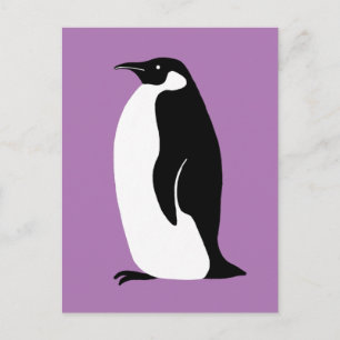 Cartão Postal Pinguim Púrpura Púrpura Branco