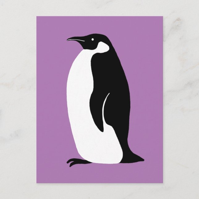 Cartão Postal Pinguim Púrpura Púrpura Branco (Frente)