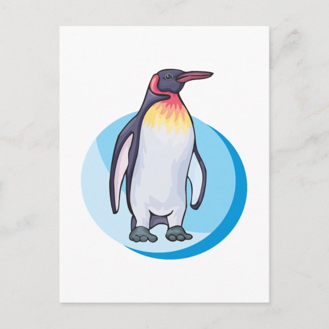 Cartão Postal pinguim rei (Frente)