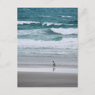Cartão Postal Pinguim retornando do oceano