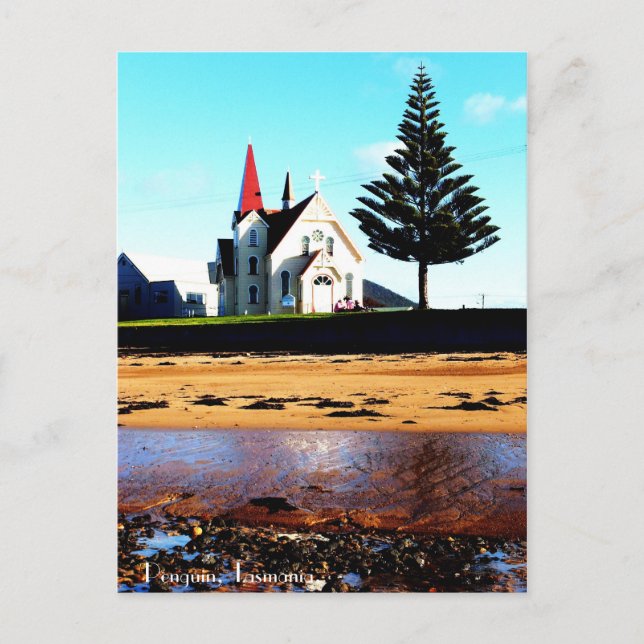 Cartão Postal Pinguim, Tasmânia. (Frente)